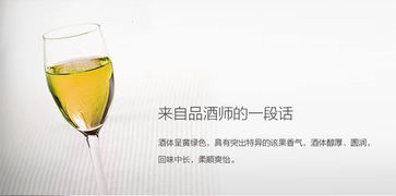 北京瀚泽沣酿酒技术 陈化酿酒设备 高能陈化机 猕猴桃酒的酿制